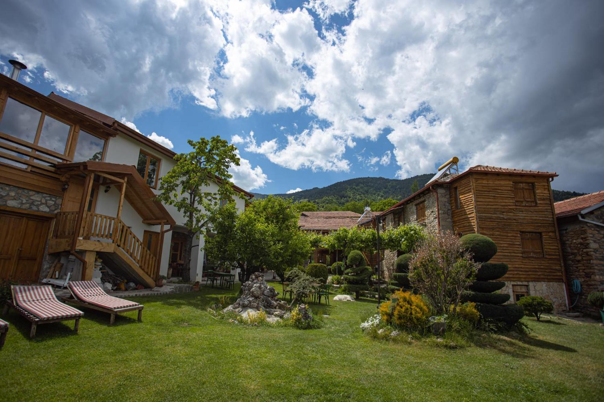 Villa Dihovo ビトラ エクステリア 写真