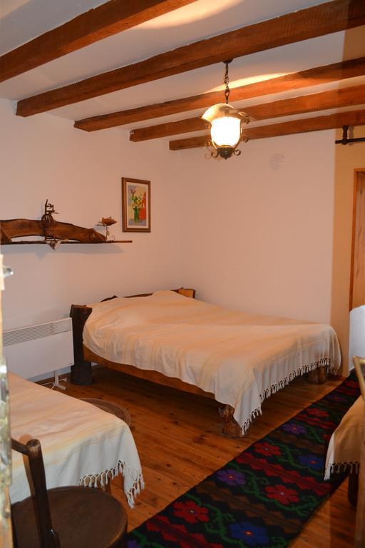Villa Dihovo ビトラ エクステリア 写真
